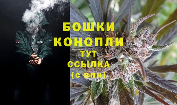 ешки Гусь-Хрустальный