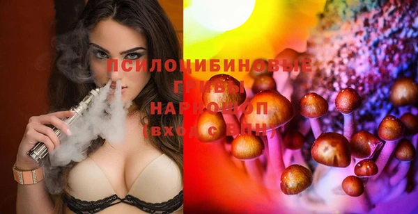 a pvp Гусиноозёрск