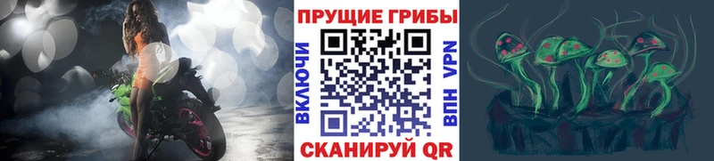 Галлюциногенные грибы Cubensis  Купить  Ивантеевка 
